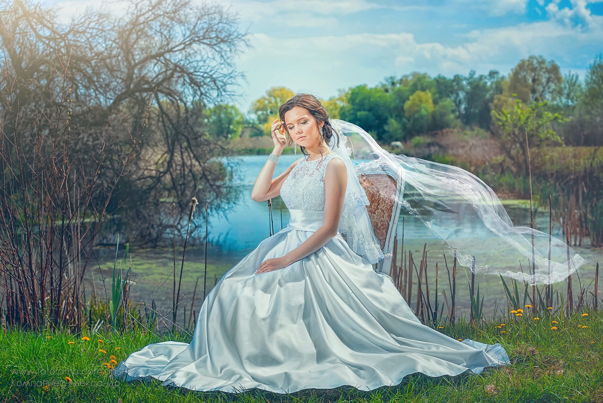 Фото Wedding 