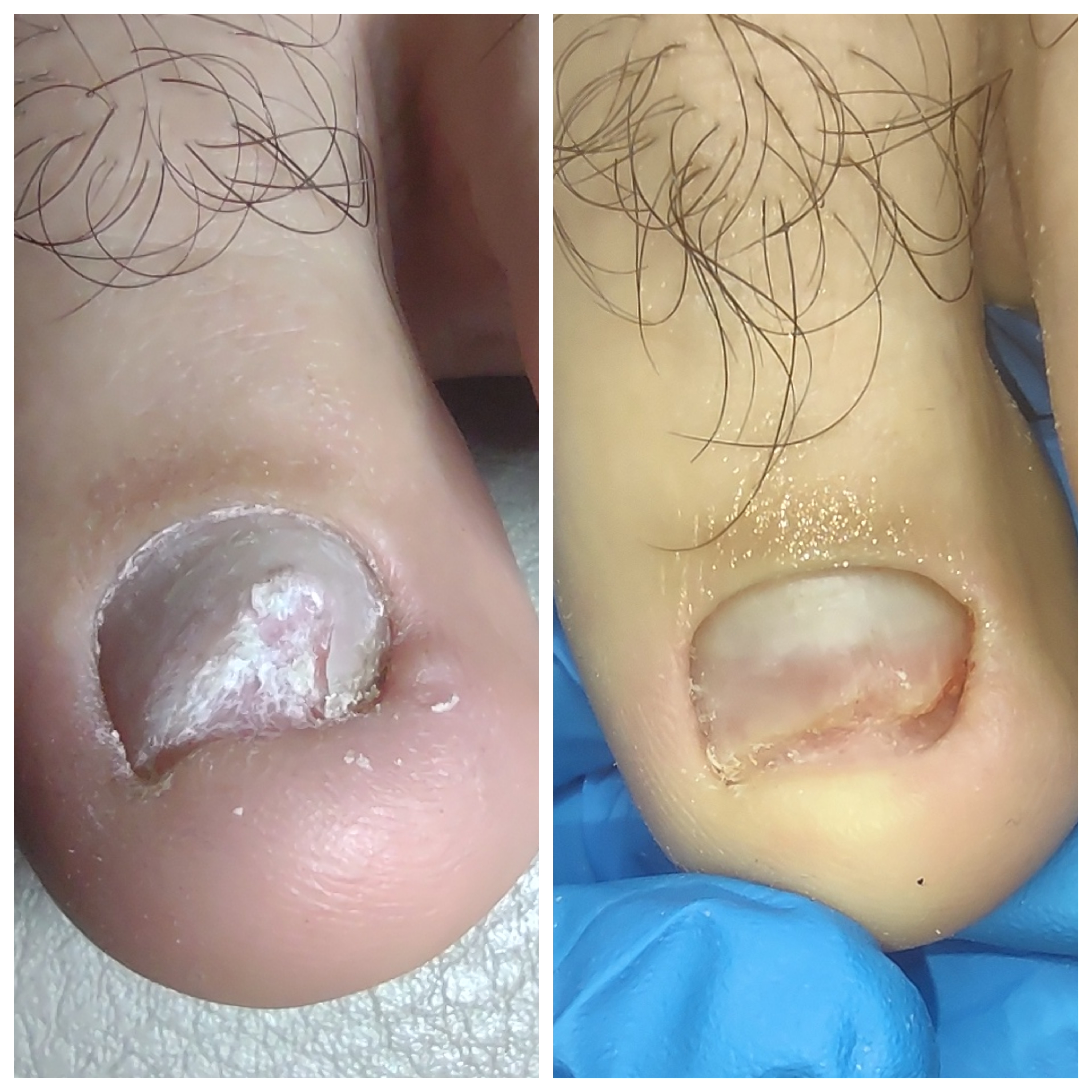 Фото Подолог