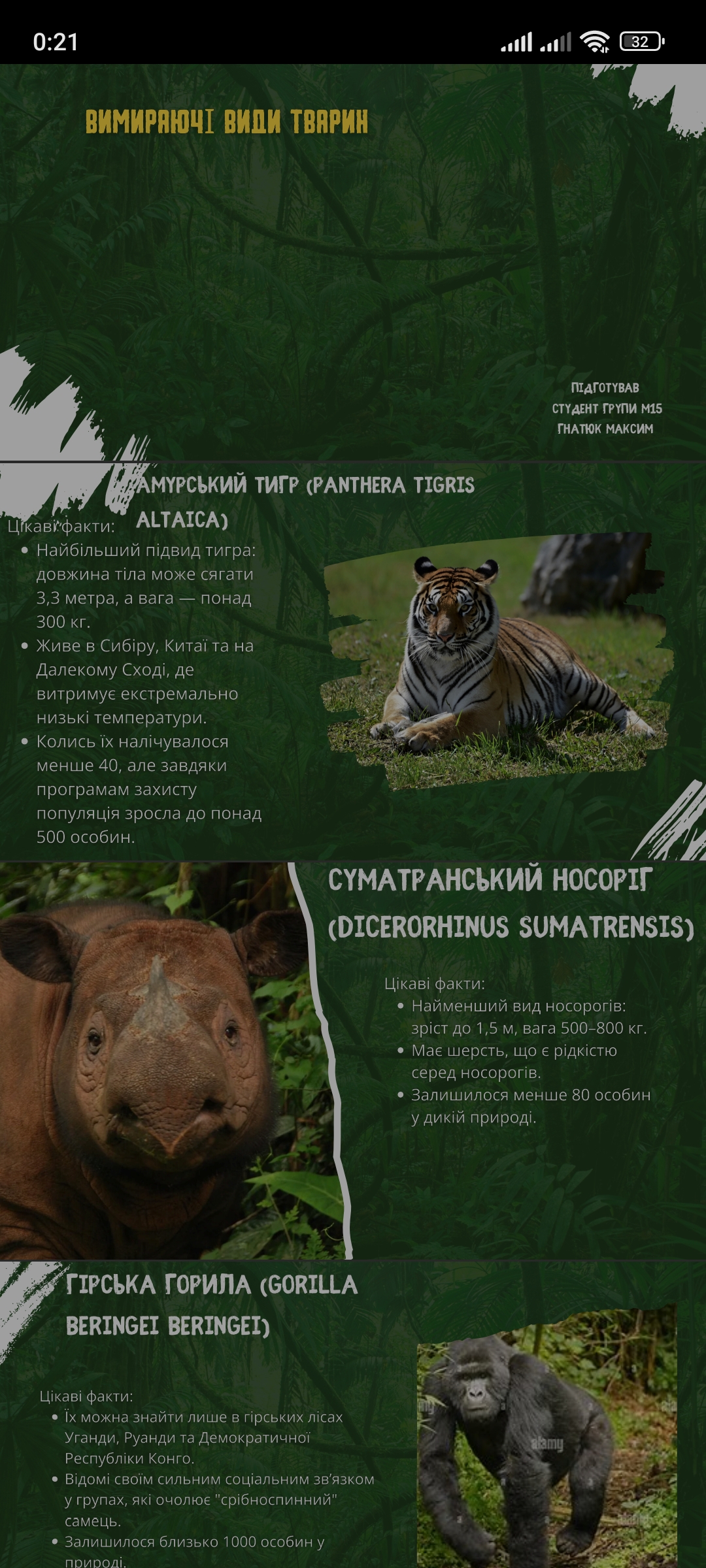 Фото презентації  5