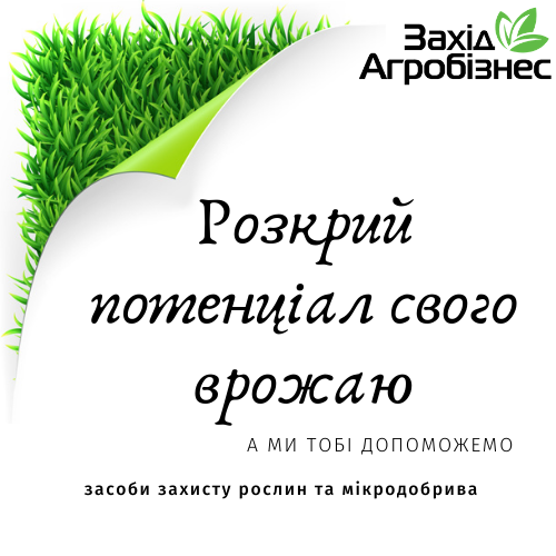 Фото Создание дизайна полиграфии, менее часа потрачено