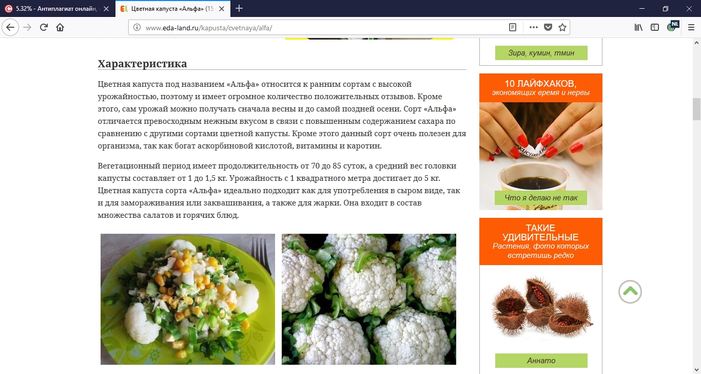 Фото Для сайта про выращиванию овощей. Выполнил в течении дня!