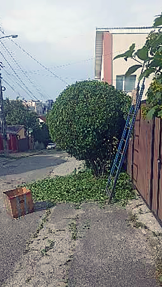 Фото Геометрична стрижка