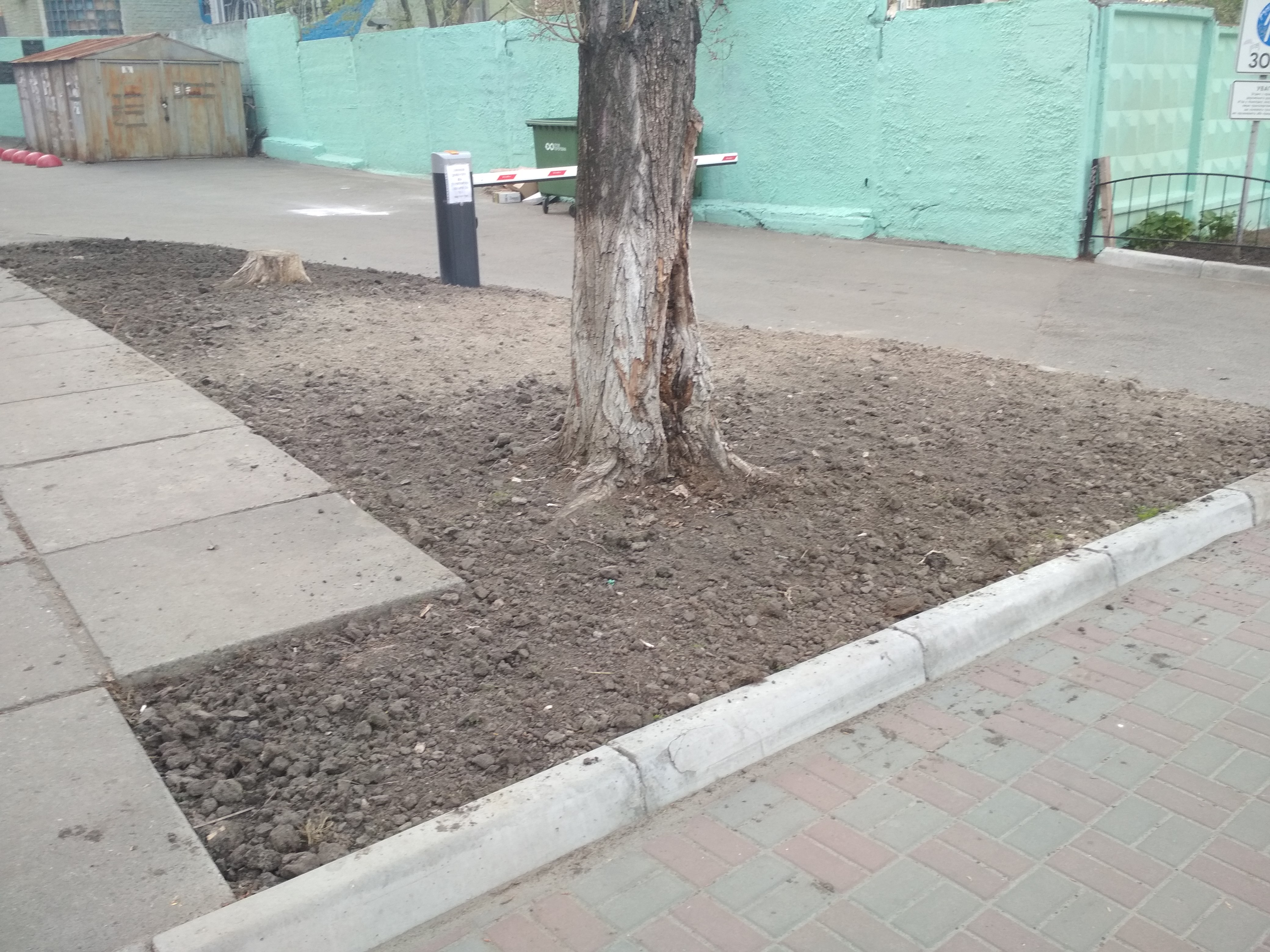 Фото Вскопать клумбу