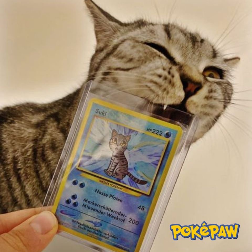 Фото Ілюстрації в стилі аніме Pokemon (тварини та домашні улюбленці) 5