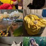 З задоволенням пригляну за вашим улюбленцем 🐈