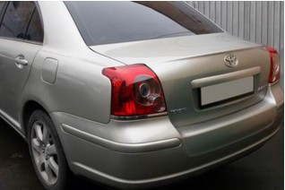 Фото Покраска, полировка авто в Борисполе 2