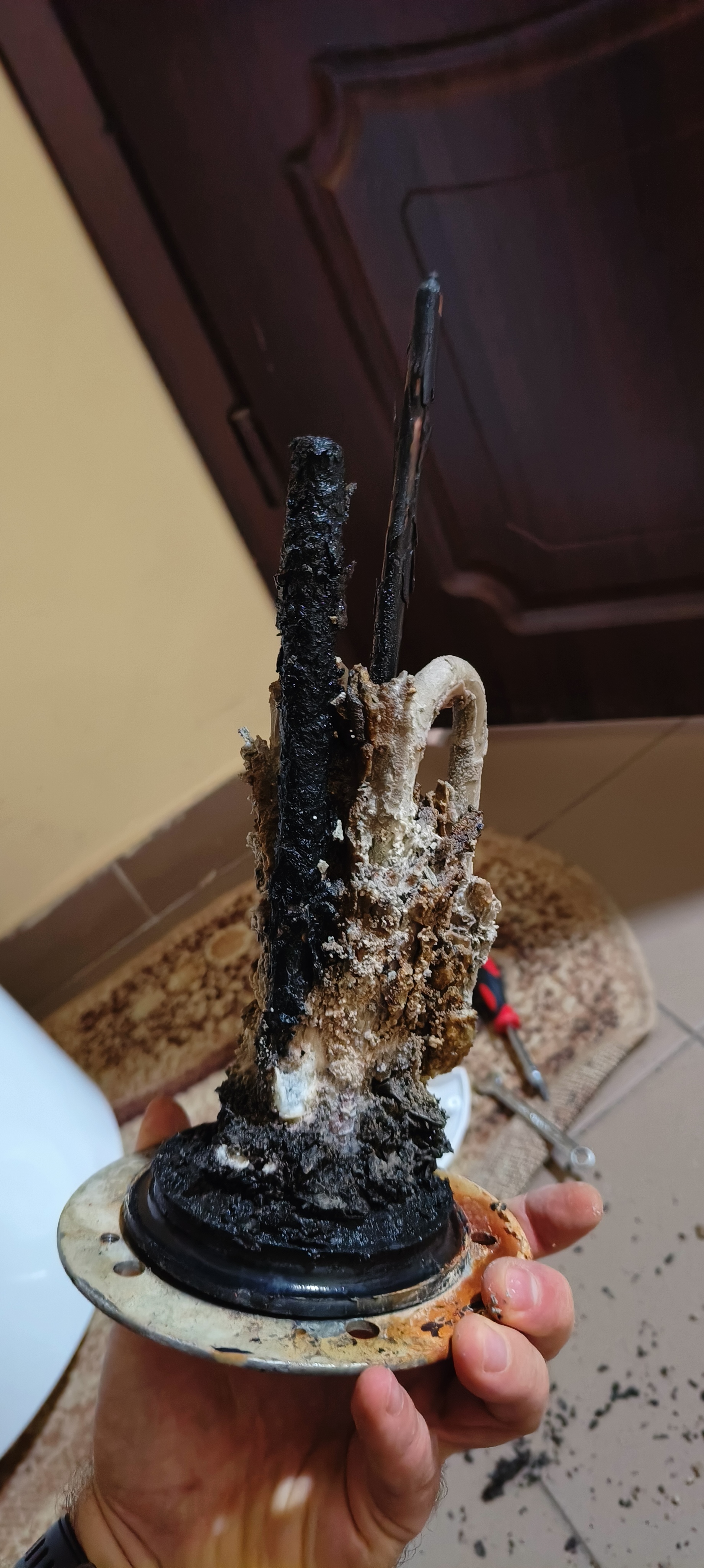 Фото в такому вигляді бойлер потрапляє до мене на очищення/ремонт, коли недостатньо нагріває воду або взагалі не працює. це результат відсутності належного обслуговування.