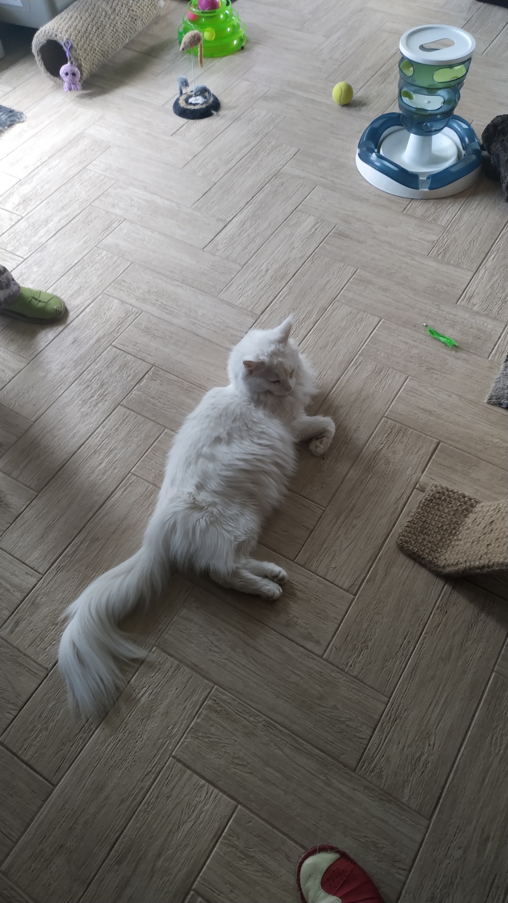Фото Что-то маловато игрушек)))