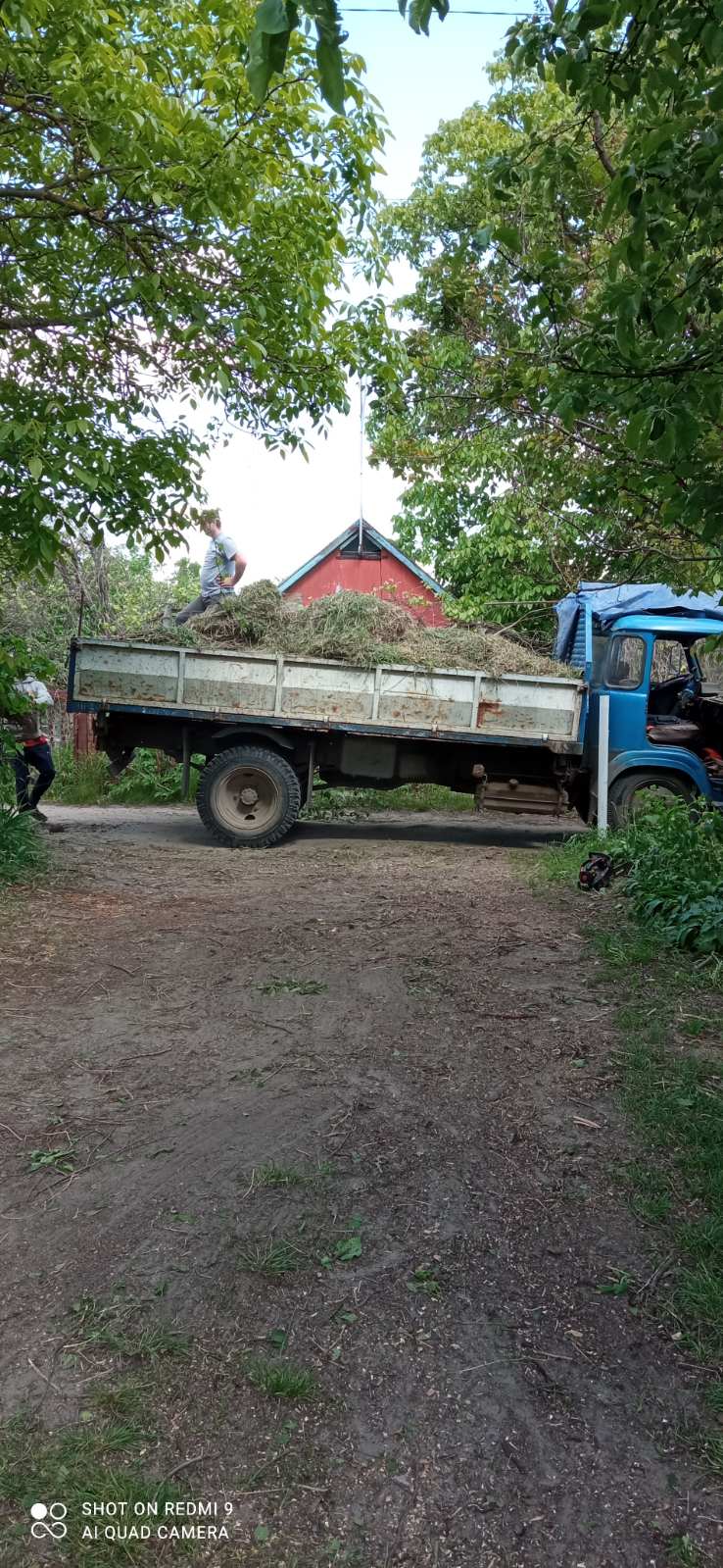 Фото Покос трави 1