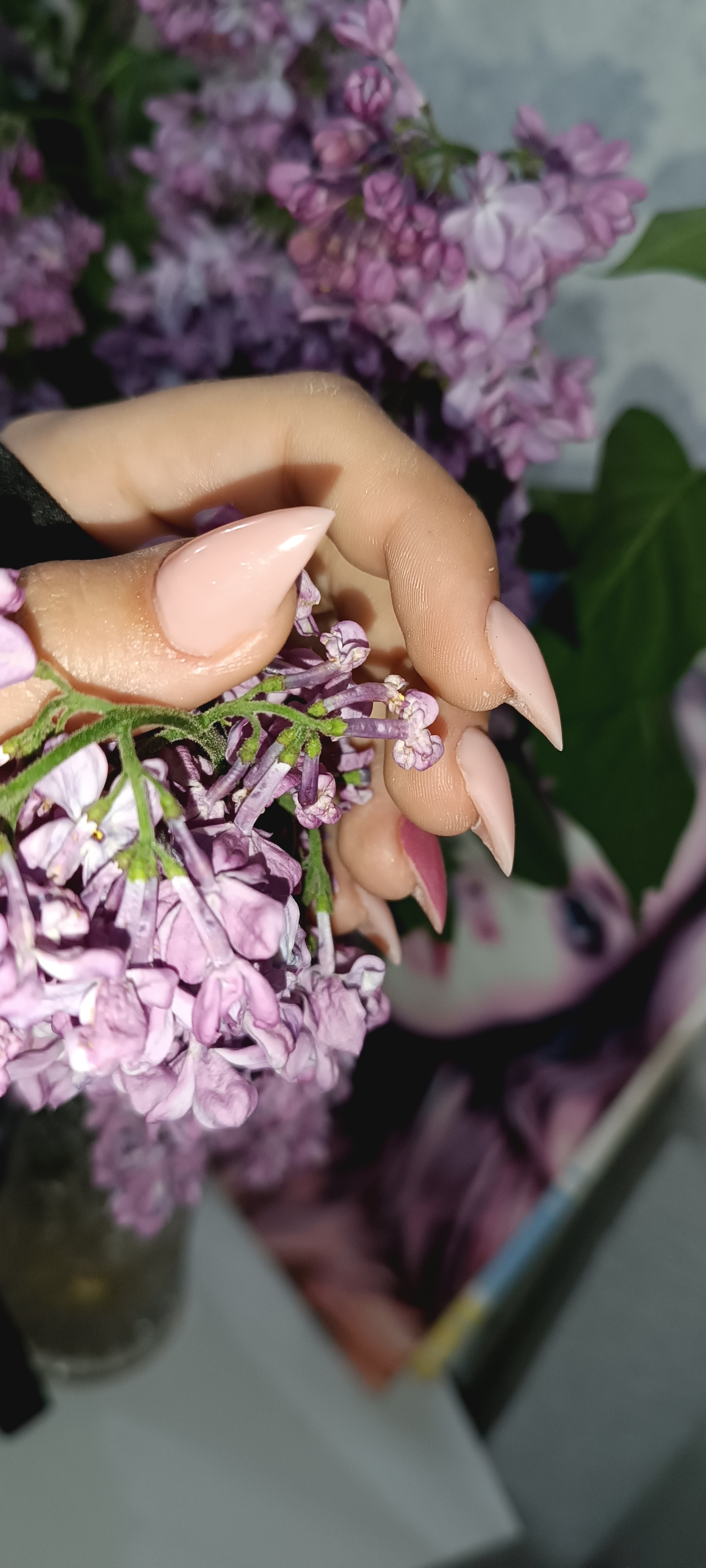Фото Нігті кігті від 1 до 10 довжини 3