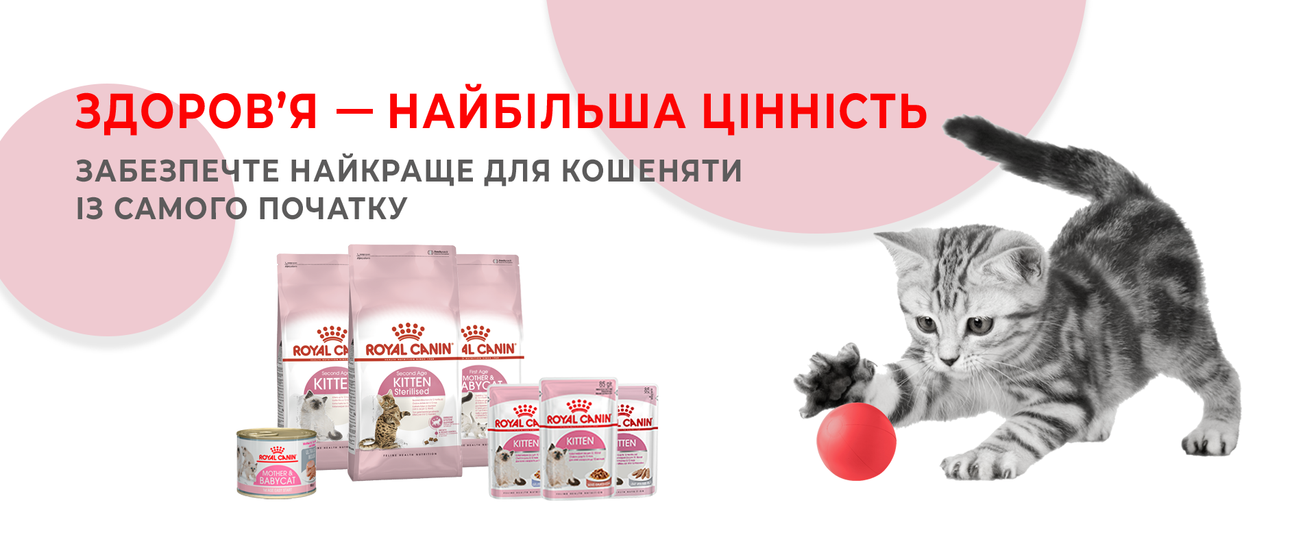 Фото Разработка баннера для KupiKorm