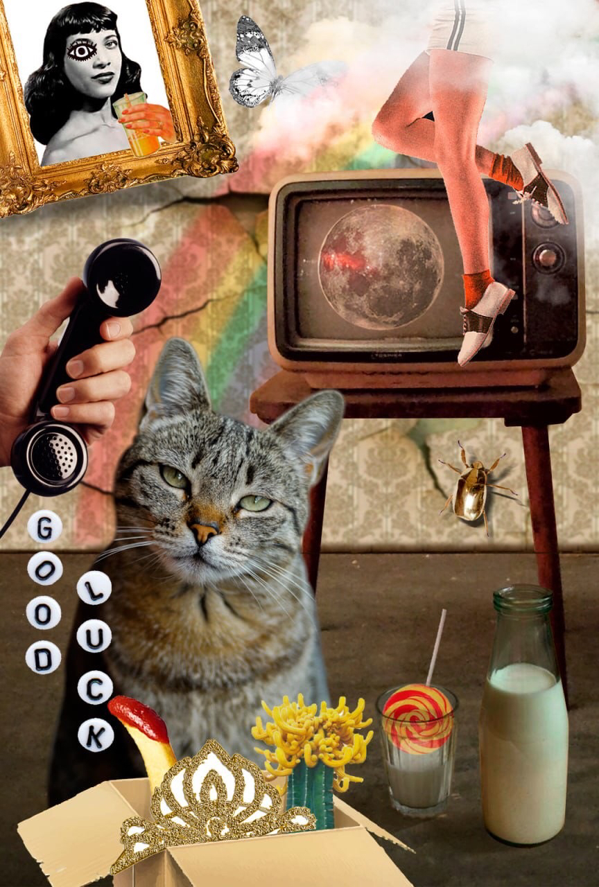 Фото коллажі/мокапи/розташування іллюстрацій