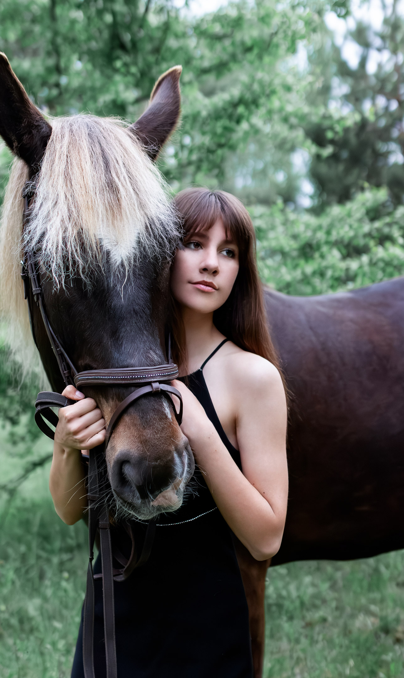 Фото Кінна фотосесія