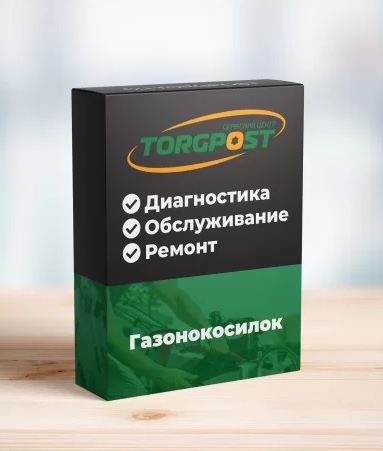 Фото Ремонт газонокосилок 1