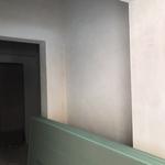 Машинная штукатурка Белая Церковь Киевская область