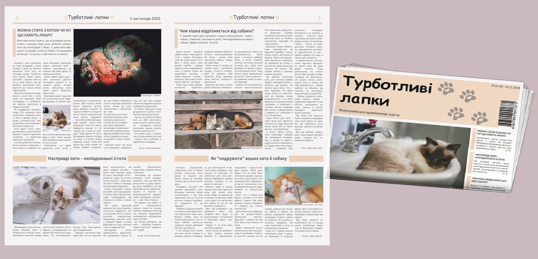 Фото Дизайн повноцінної газети про домашніх улюбленців