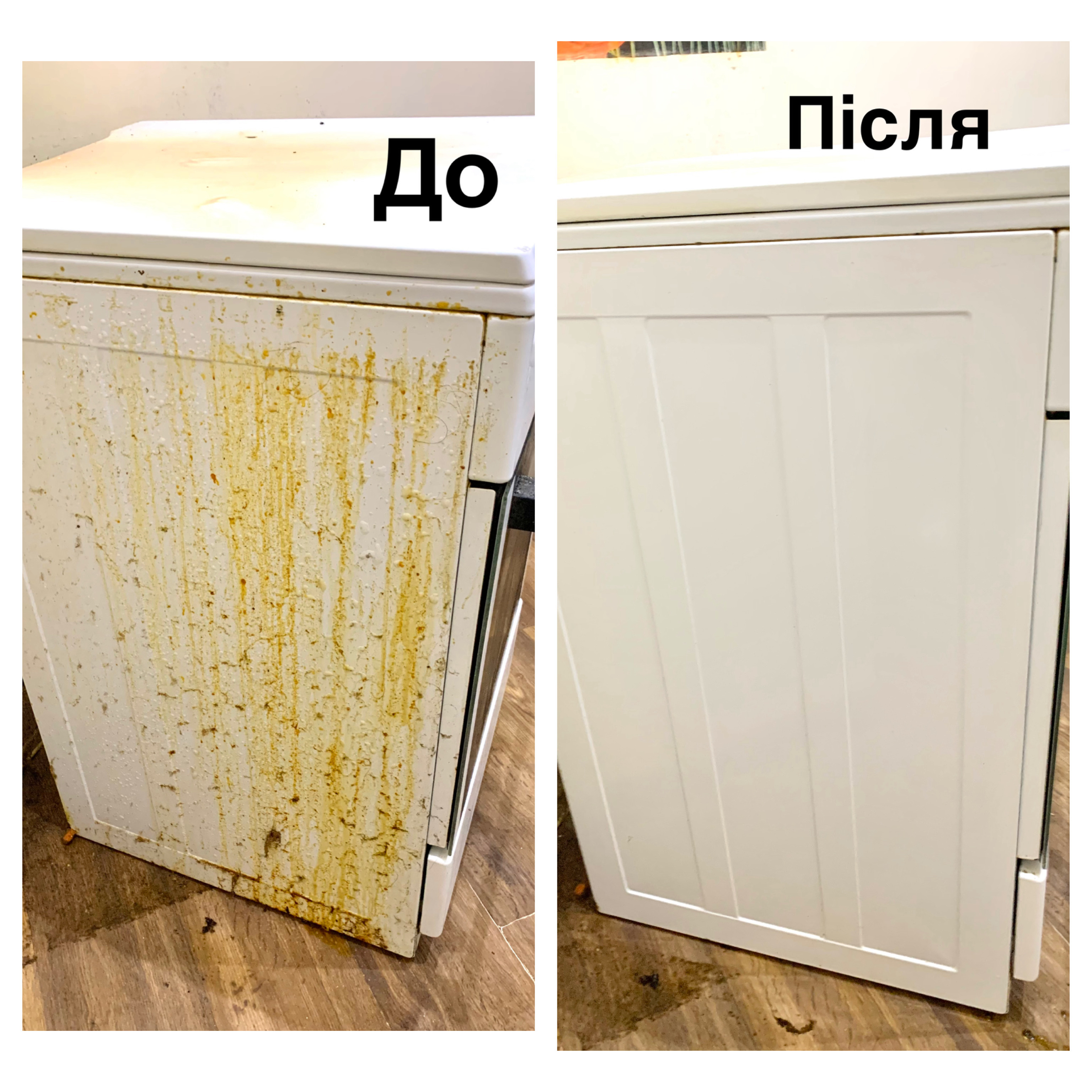 Фото Багаторічний нашарований жир 