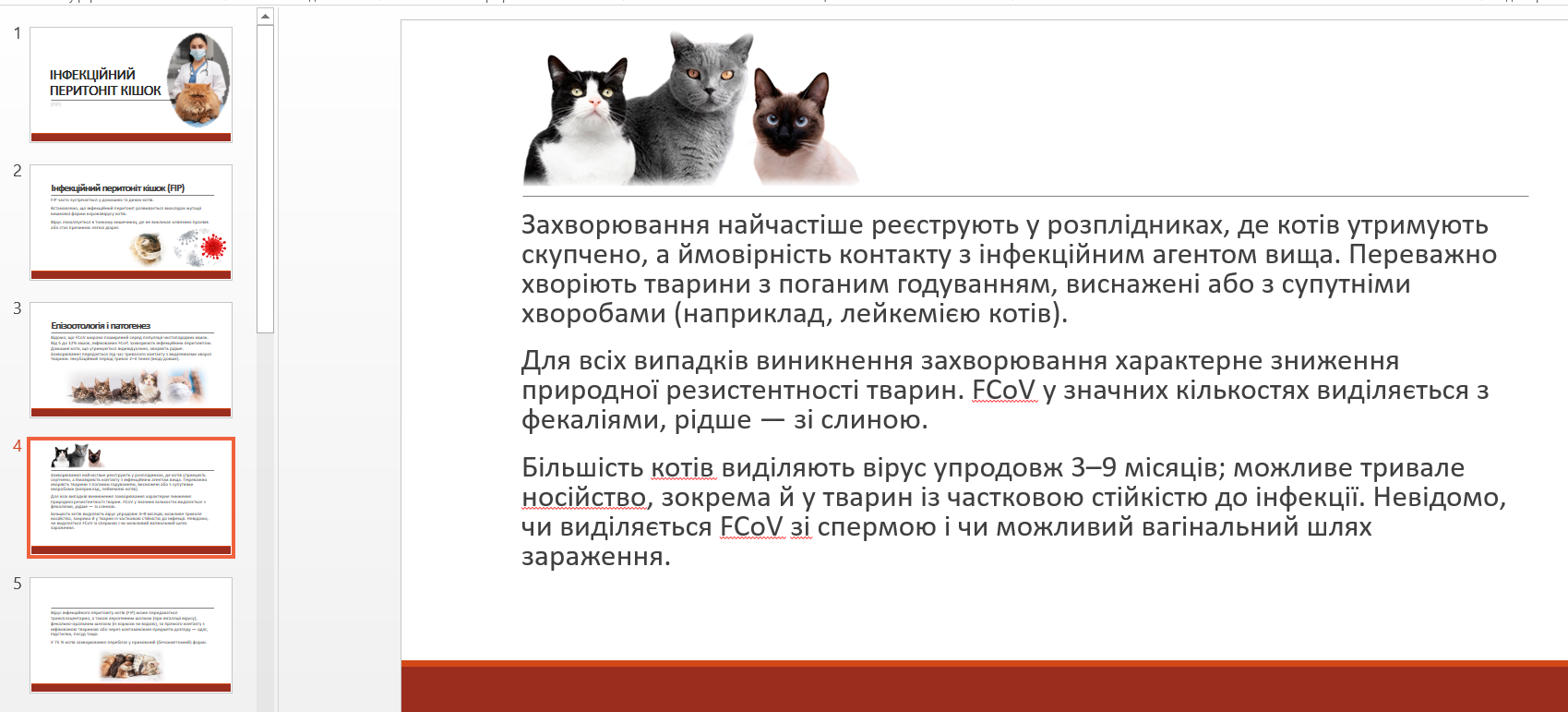 Фото Презентація про ФІП-котів (для ветеринара)