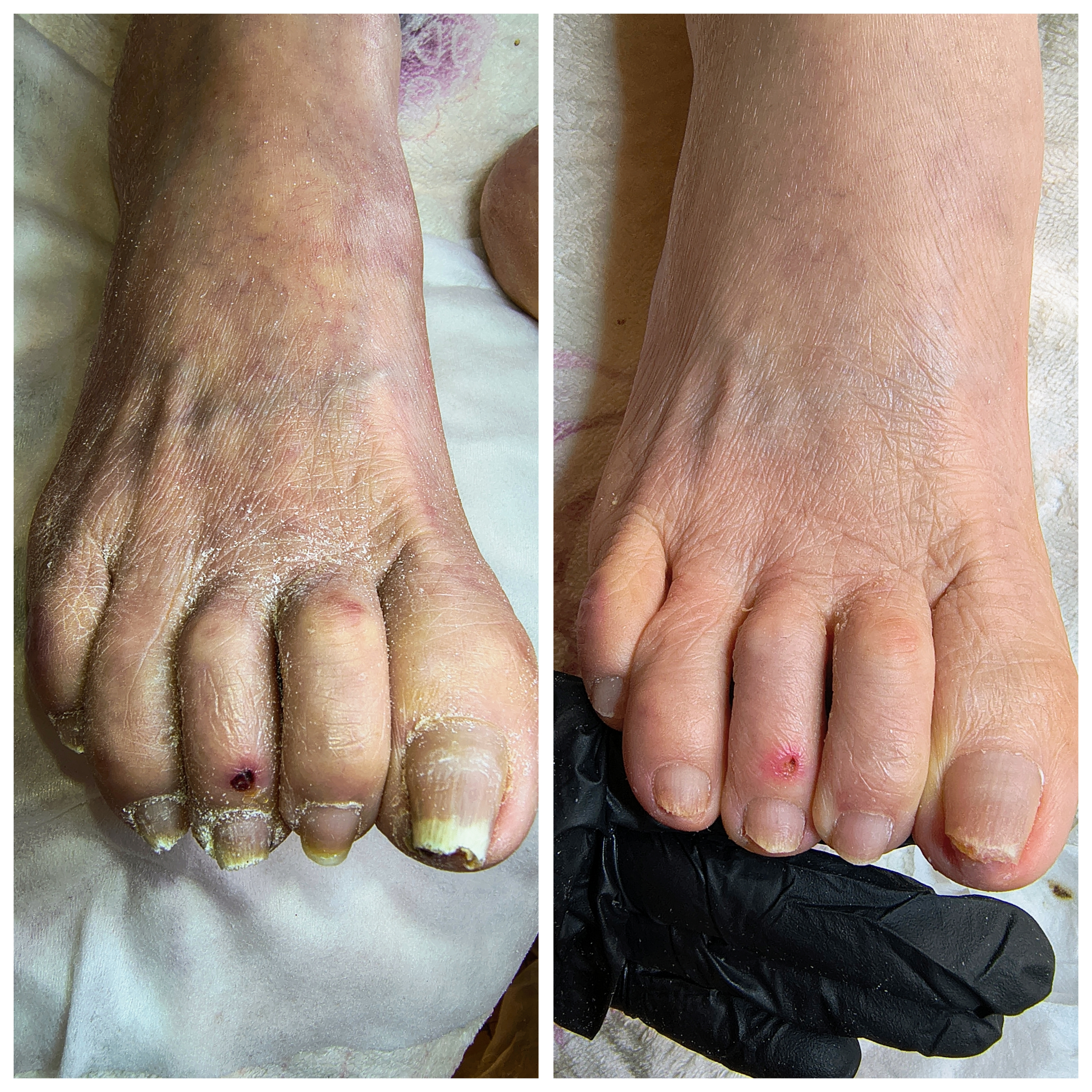 Фото Подолог