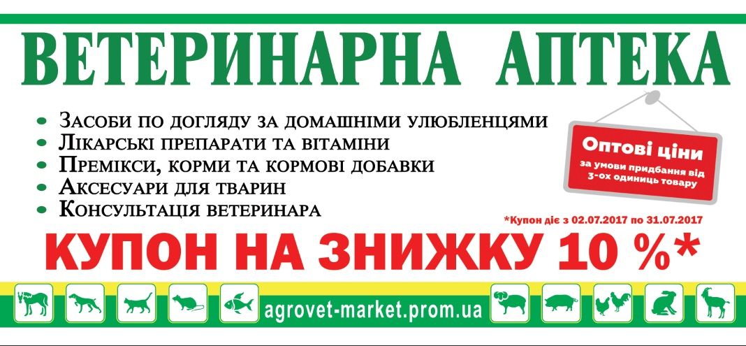 Фото Макет флаера. 1 час