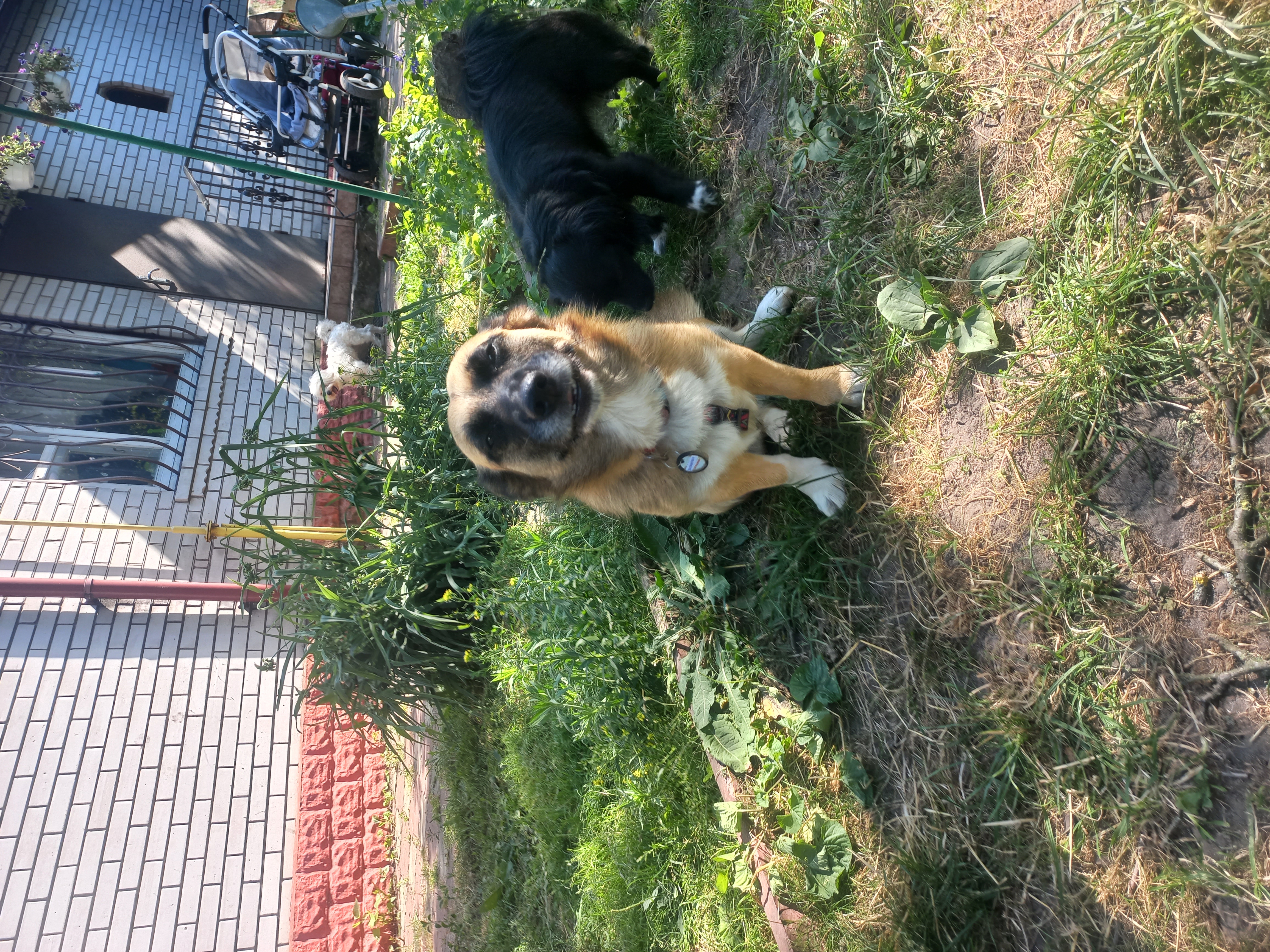 Фото Постійна задоволена клієнтка Дефне