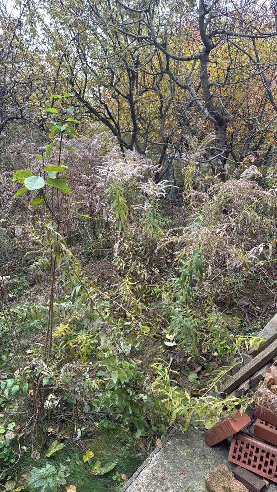 Фото Оплаты по завершению работ 