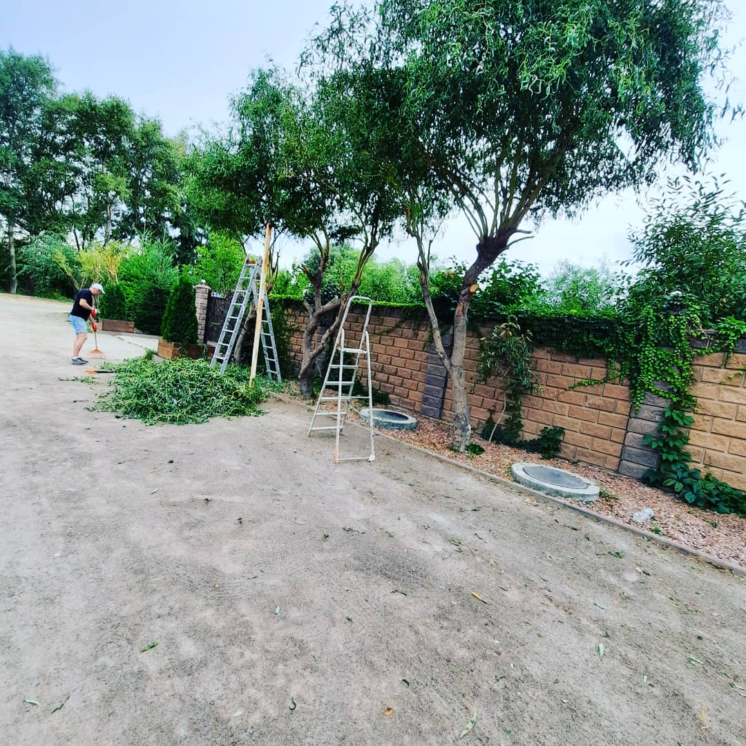 Фото Green Lawn 5