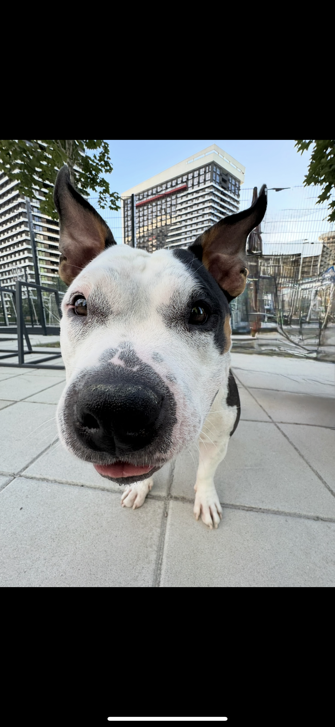 Фото Фотоотчет для родителей - обязательно)