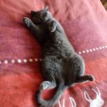 Передержка усатых :) 