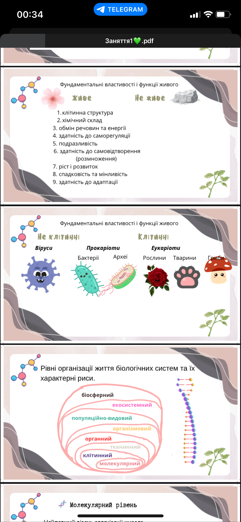 Фото Підготовка до НМТ-2025 з біології з нуля 🧬💚 4
