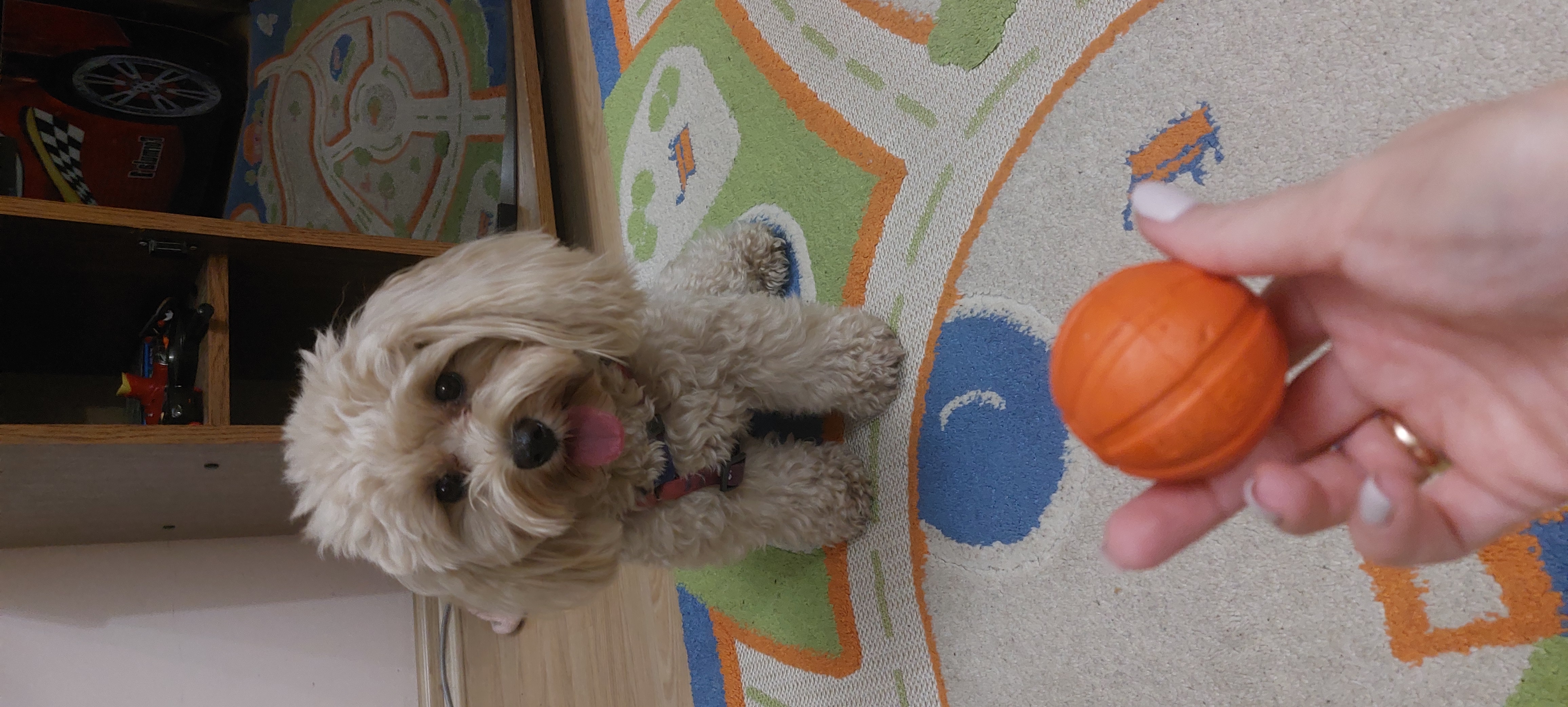 Фото Міка☺️