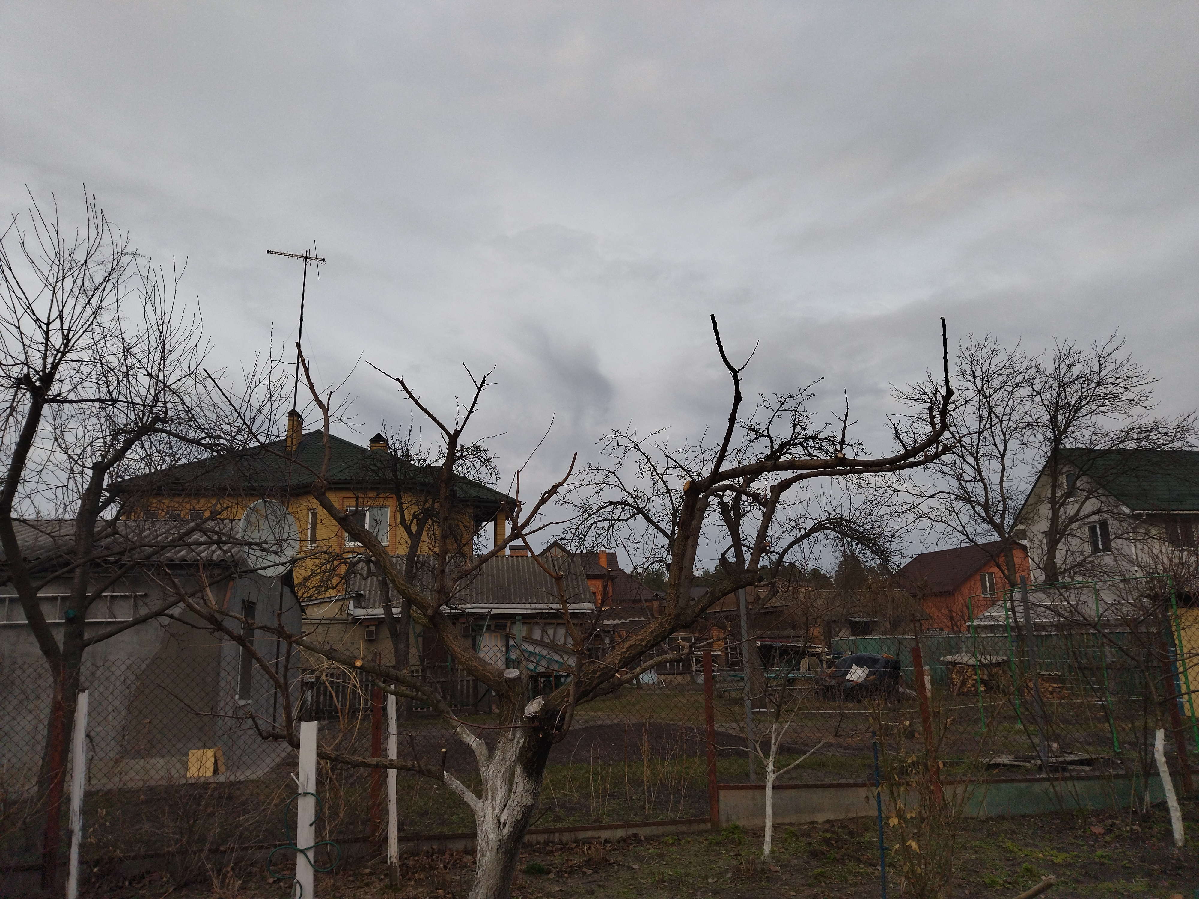 Фото Виконую обрізку дерев,та кущів. 1