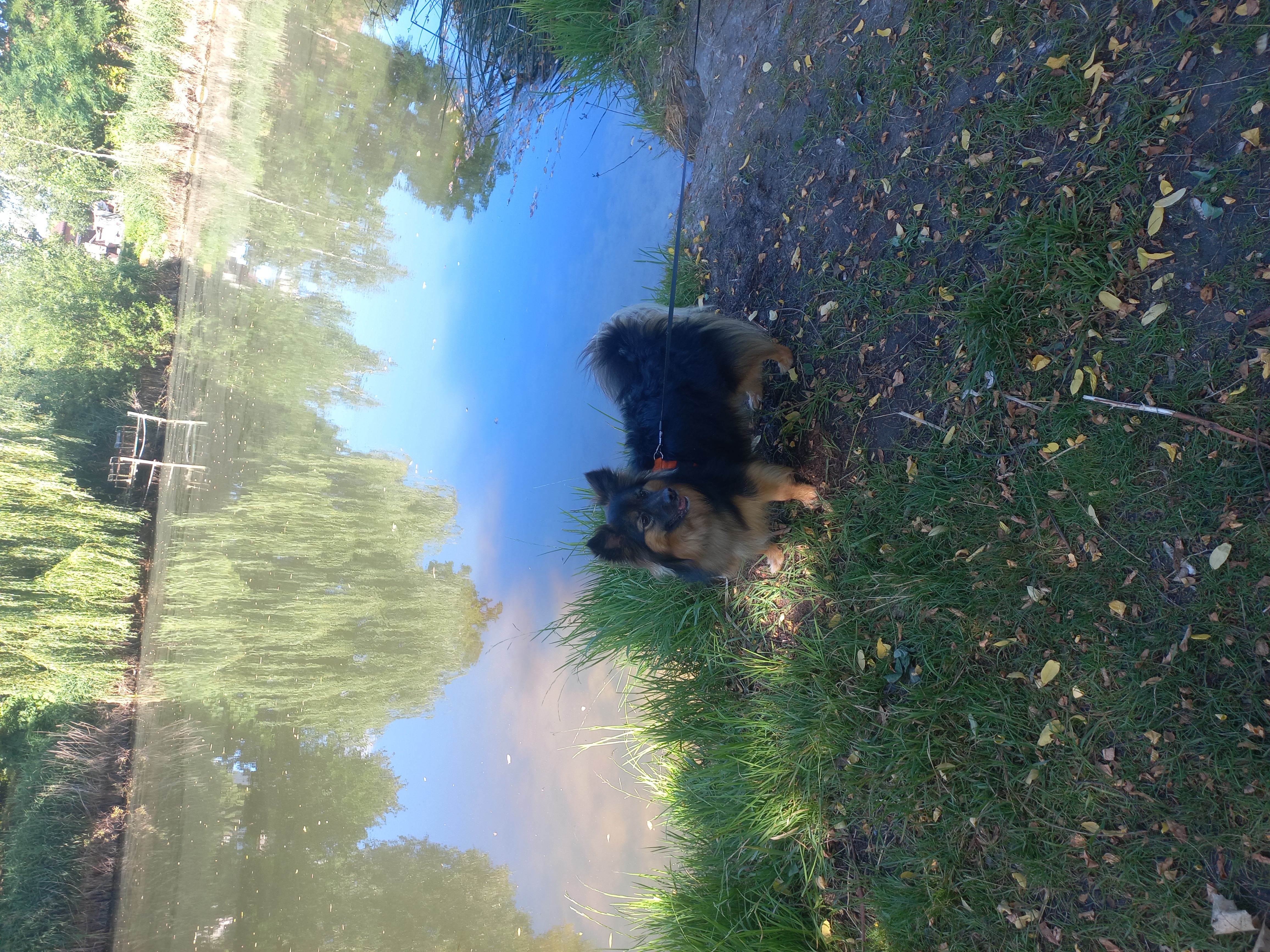 Фото Красуня Мія