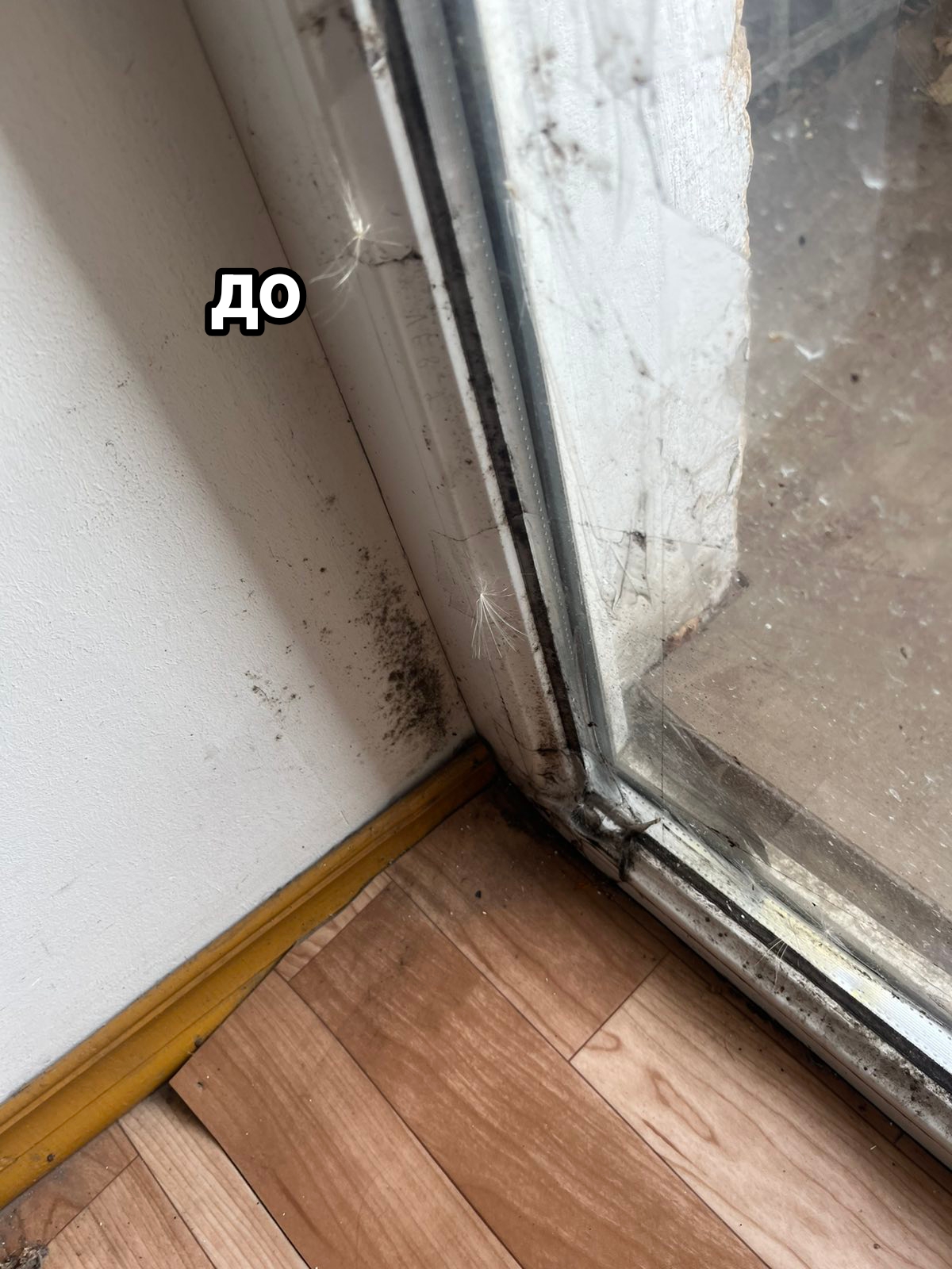 Фото видалення плісняви. 1