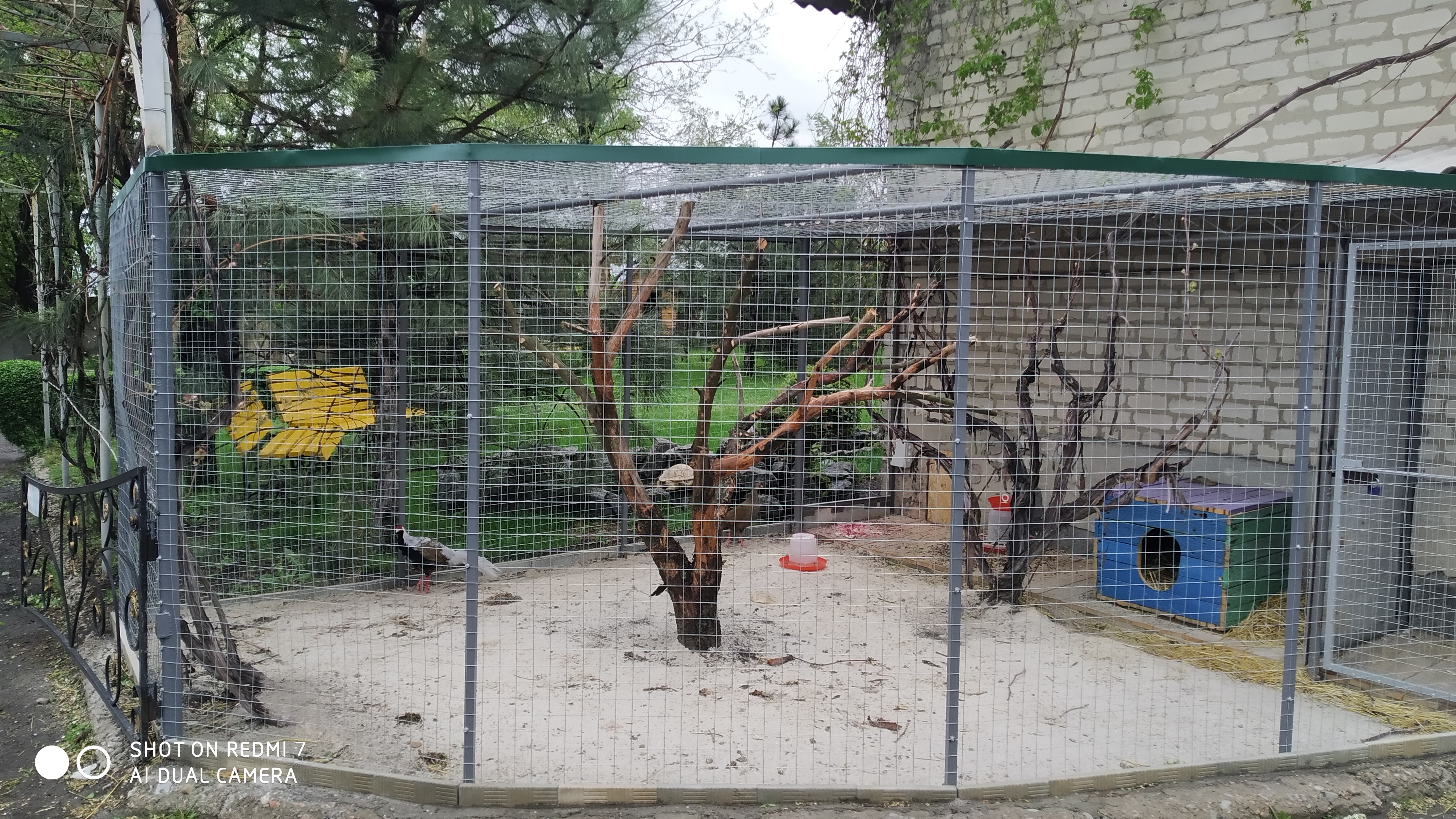 Фото Фазанарий (сварочные и слесарные работы) 
