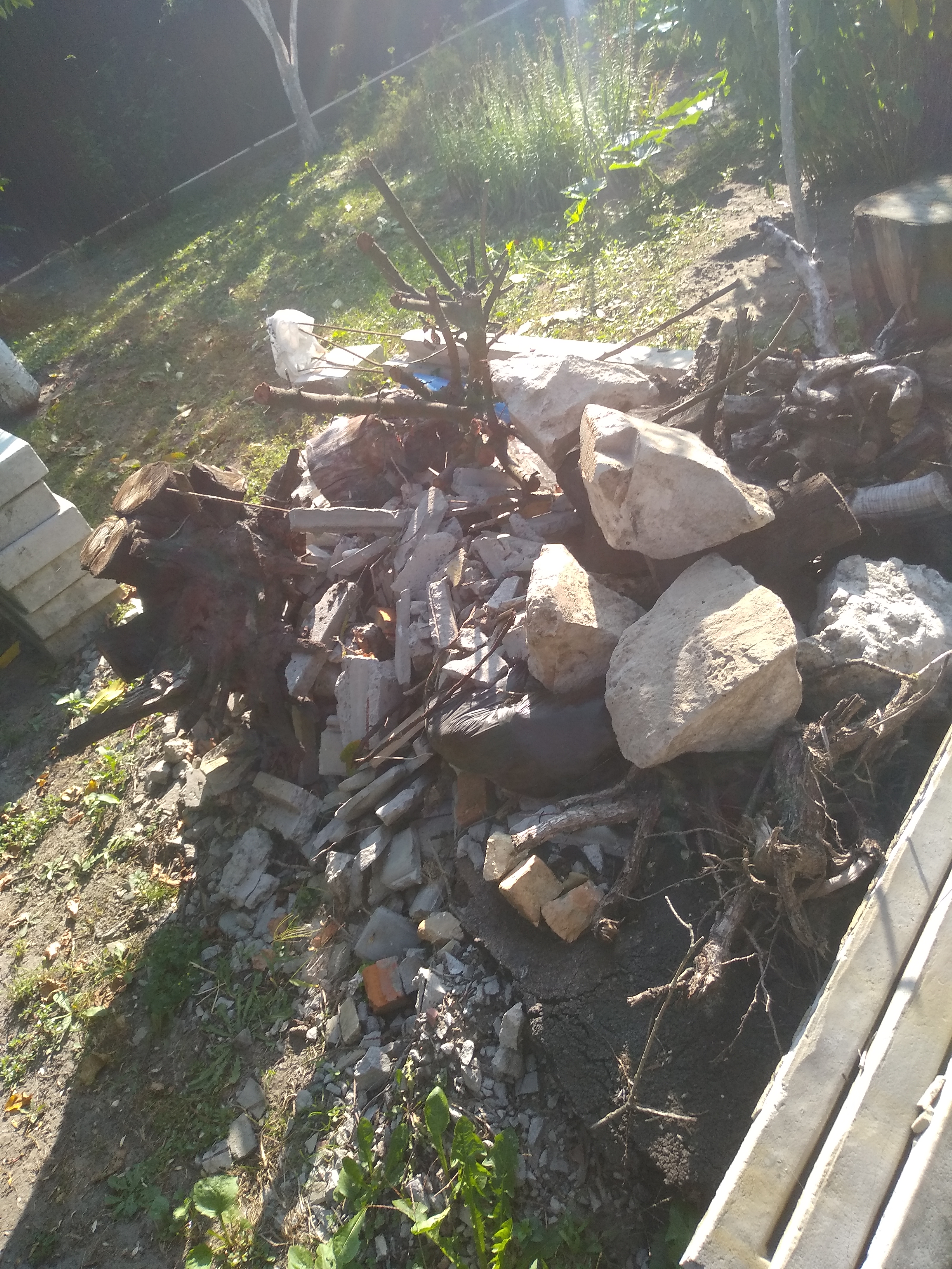Фото Услуги Грузчиков Киев 3