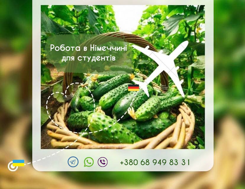 Фото Банер 