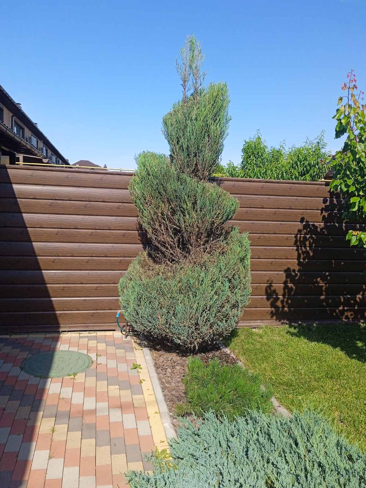 Фото після стрижки