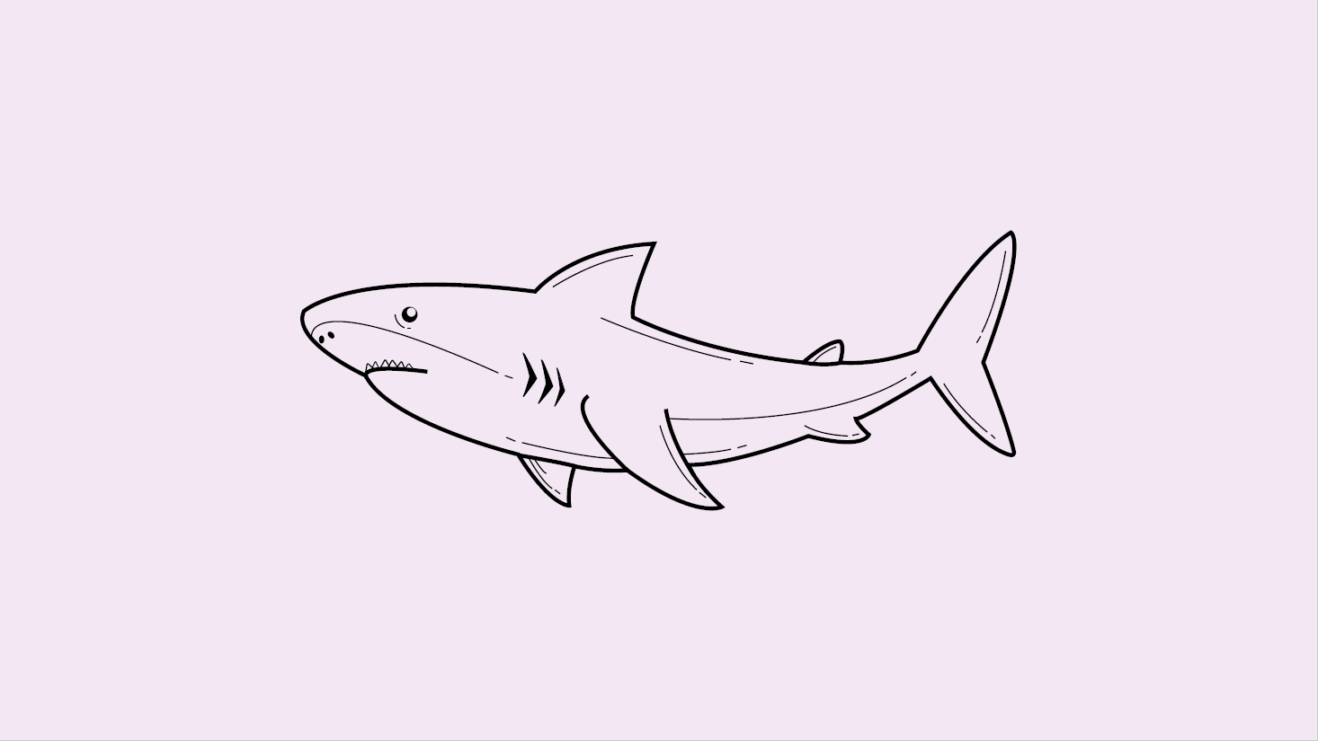 Фото Shark
