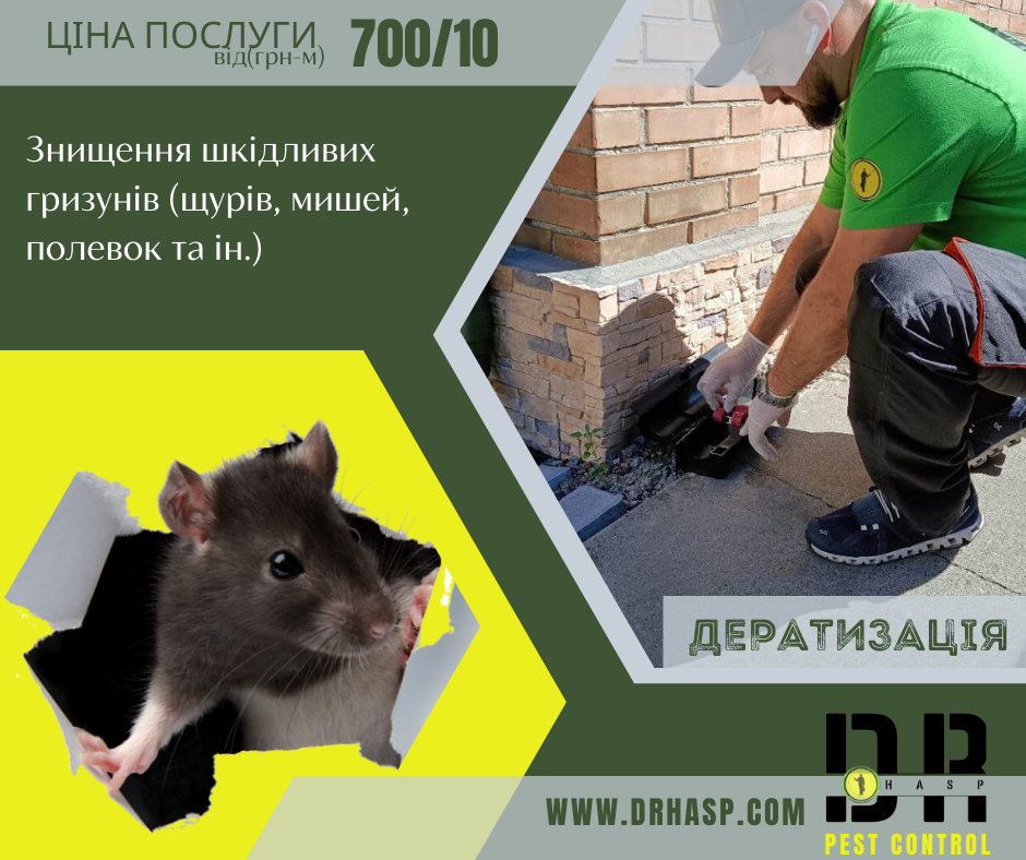 Фото Боротьба з гризунами (дератизація) в Києві і Київській області. 1