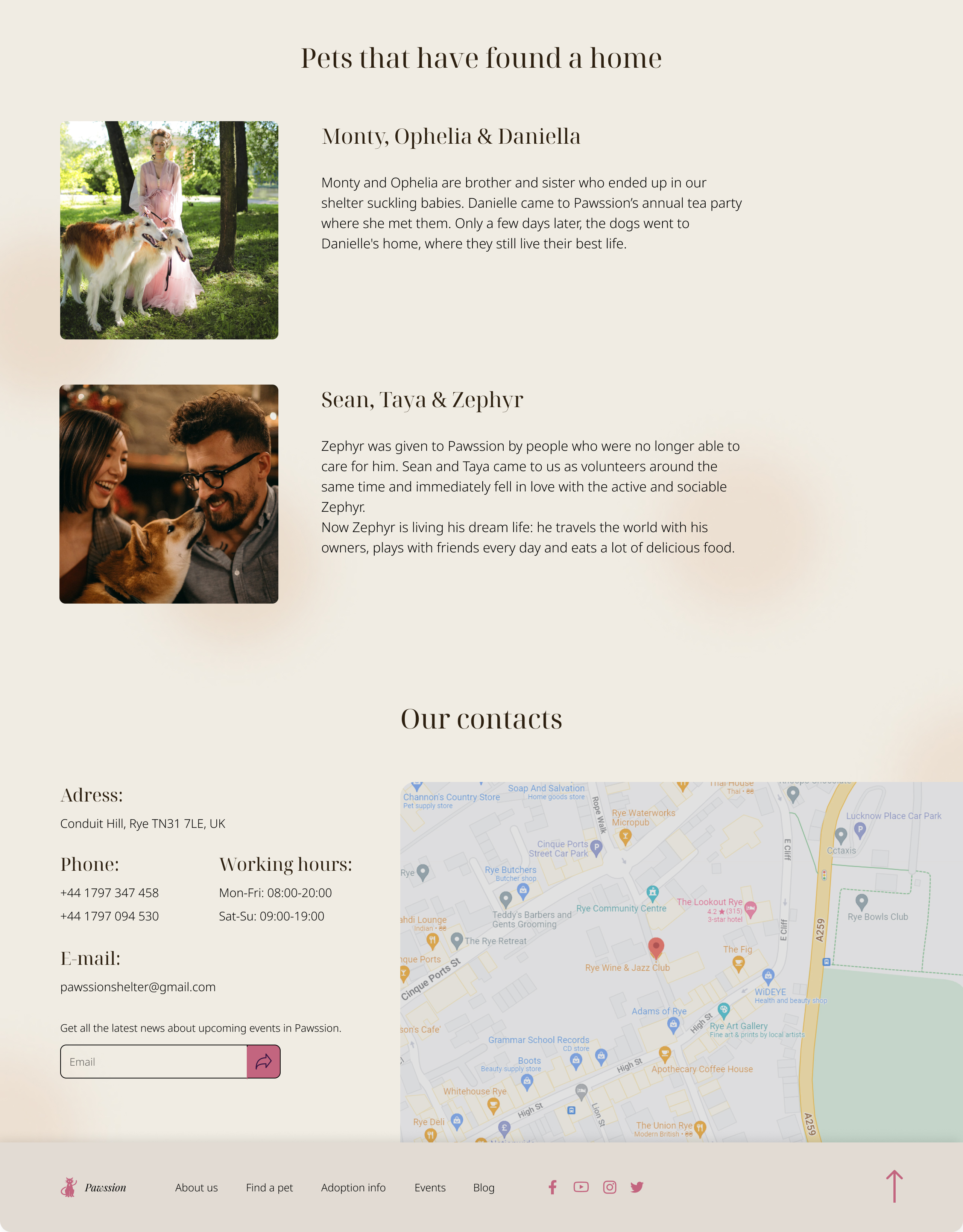 Фото Дизайн Landing Page 4