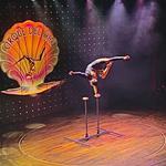 Спортивная гимнастика от проф. циркового артиста