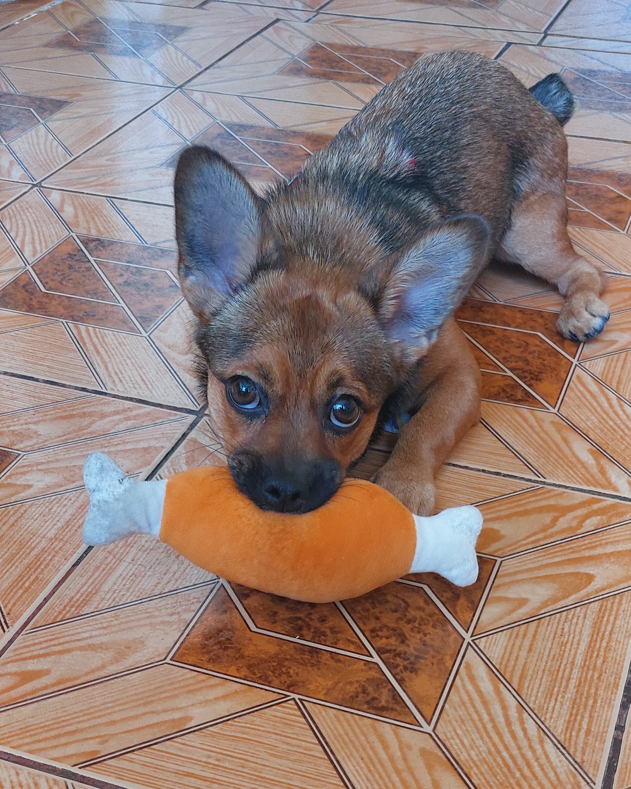 Фото Ємма😊перетримка  7 днів