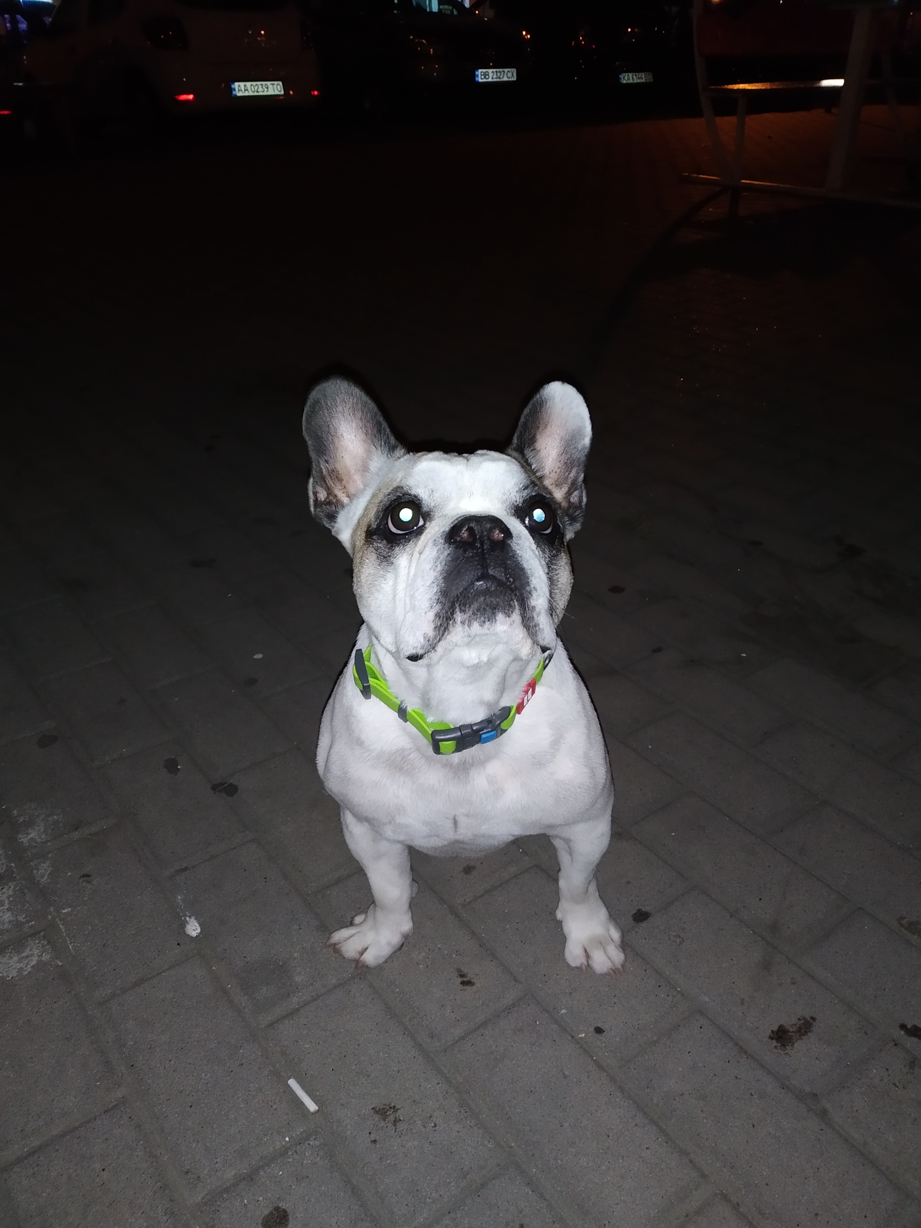 Фото Джордан