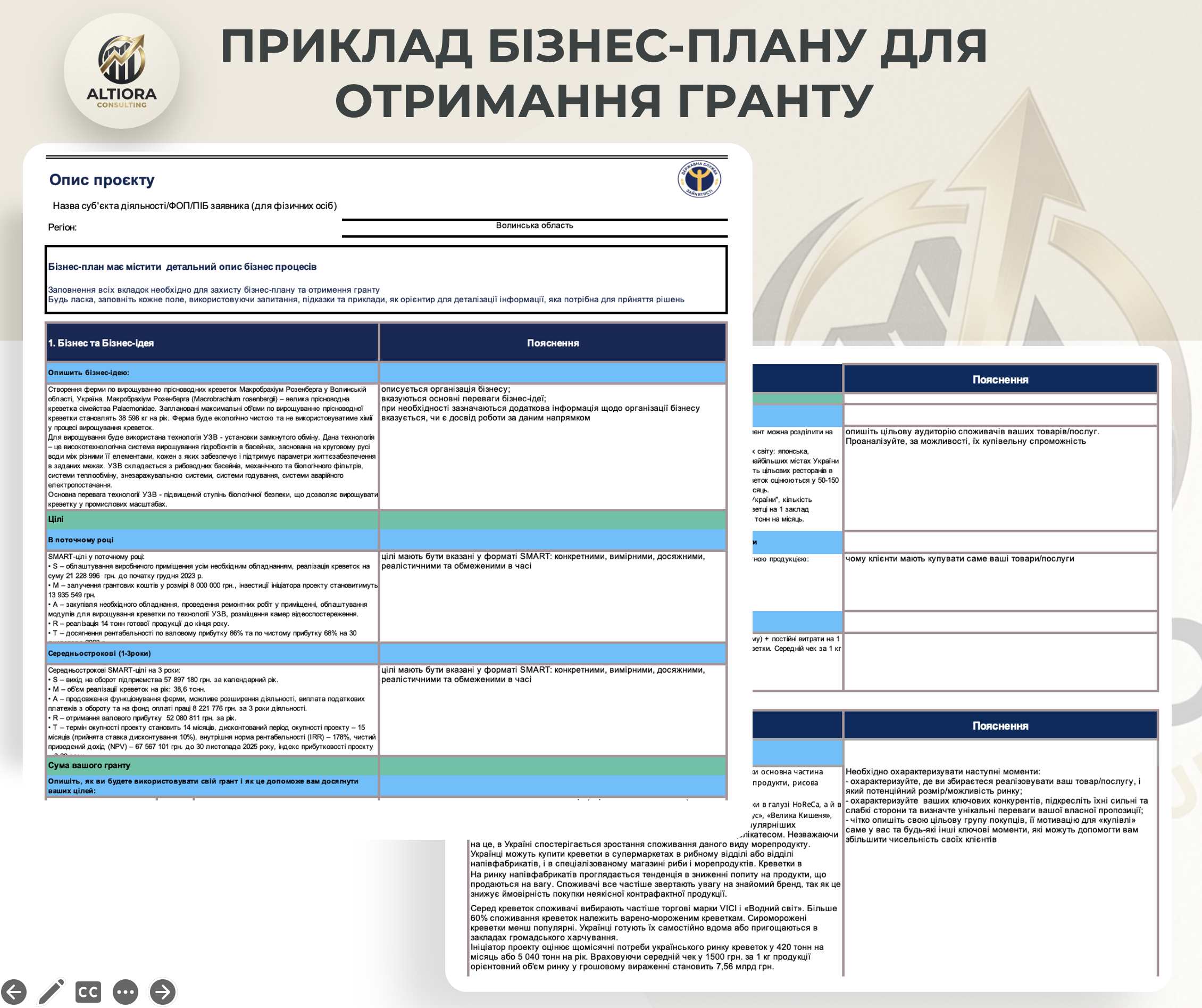 Фото Розробка бізнес-плану для отримання гранту 1
