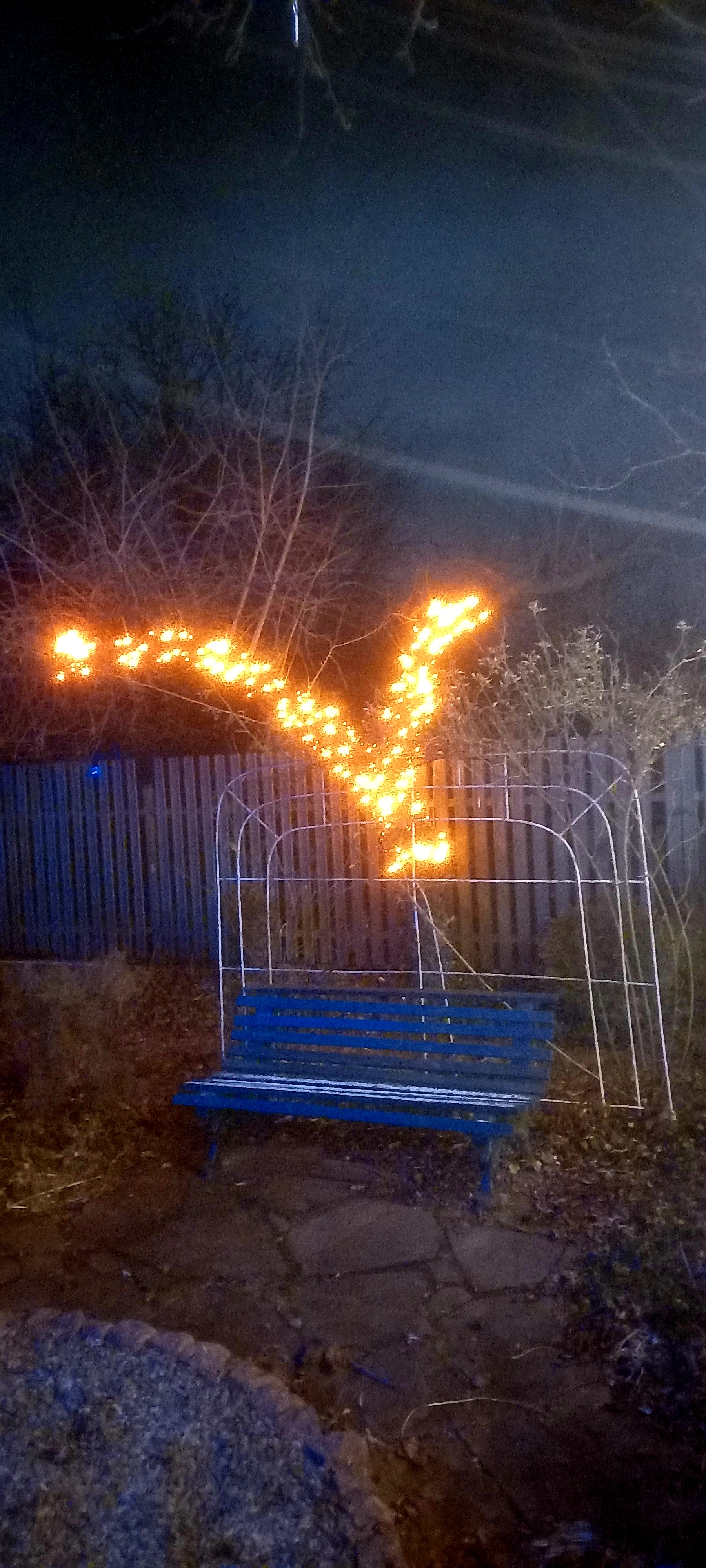Фото Монтаж вогників га дерева і на гілки дерев та на інше, для створення відповідної атмосфери.
Витрачено декілька годин.