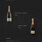 Дизайн сайтов, разработка фирменного стиля, логотипов, бренд буков, рекламы и печатной продукции.