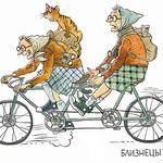 Астрологический прогноз, Натальная карта