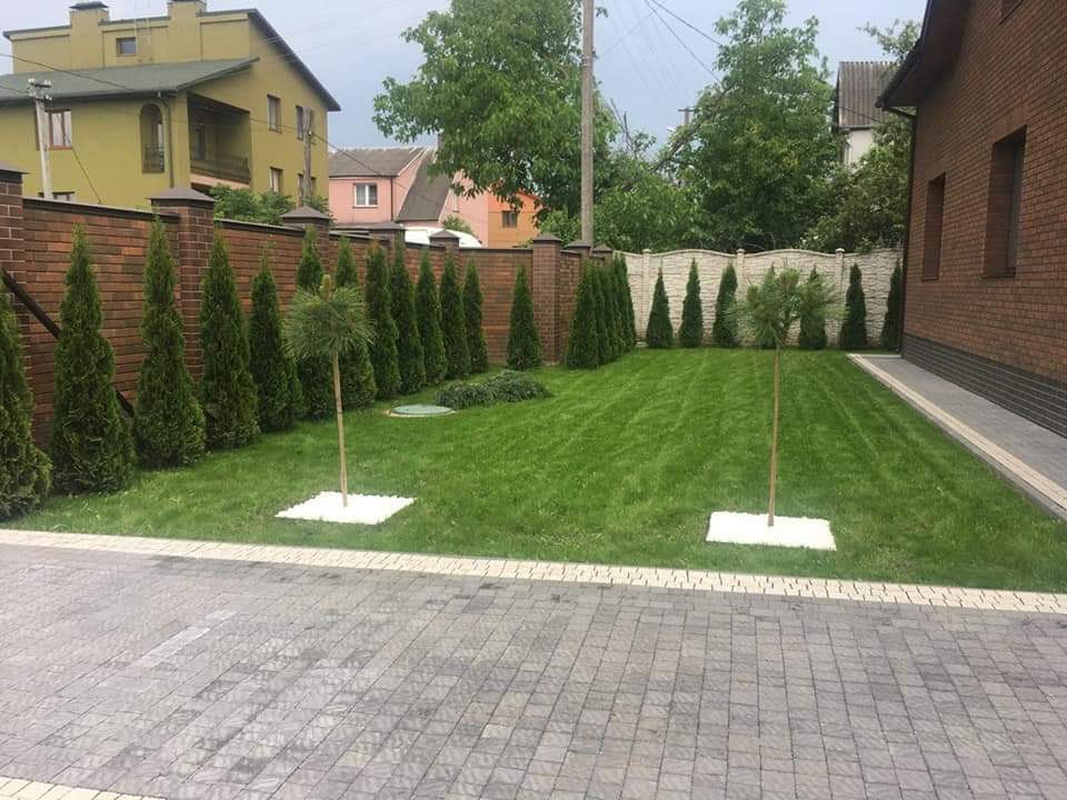 Фото готове рішення, рулонний газон
