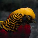 Обработка фото